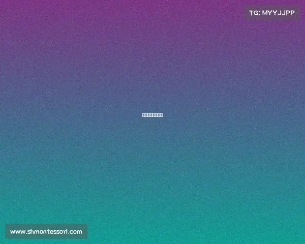 上海大型体育赛事