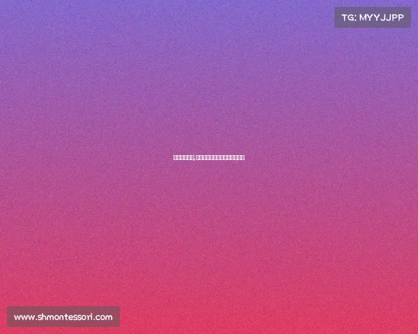 宝马赛事荣誉,宝马速度传奇全球赛道激情风暴