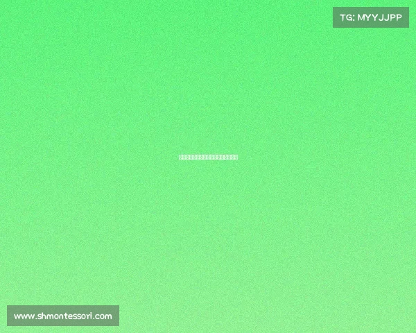 英超赛事比分回看—英超比赛直播回放