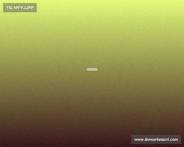 茂名赛事评分器