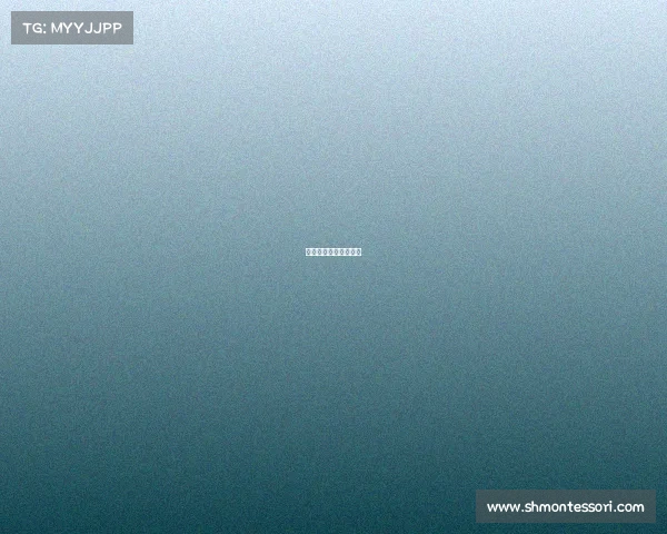 户外运动赛事策划方案