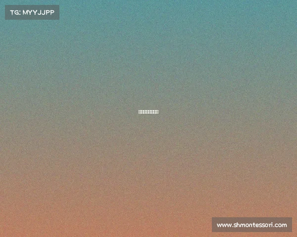 足球比赛直播球迷